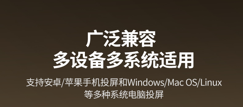 ptsfb 投屏器 接口丰富 HDMI+3.5音频口
