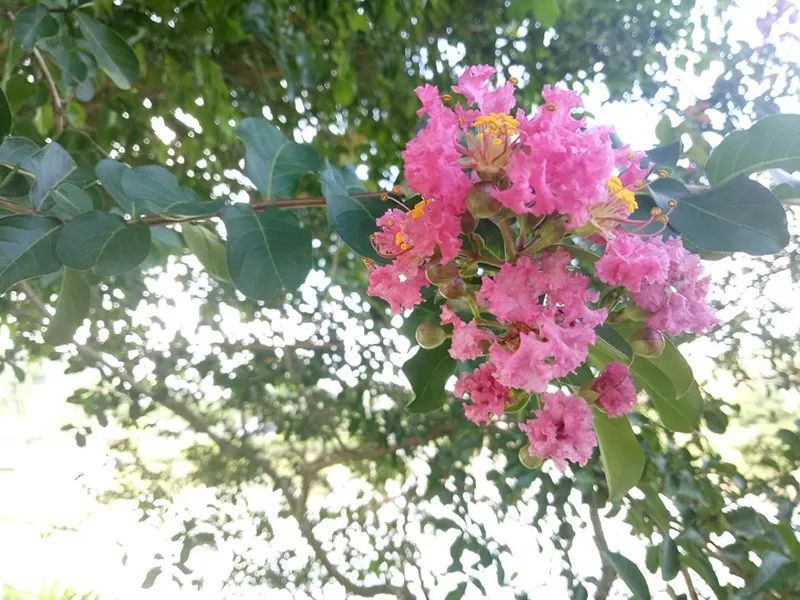 绿水青山，联翩而至，恒行62018云浮之旅